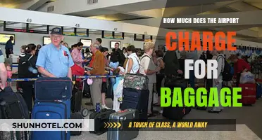 Decoding Airport Baggage Fees: A Comprehensive Guide for Travelers