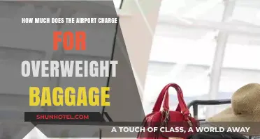 Excess Baggage Fees: What to Expect at the Airport