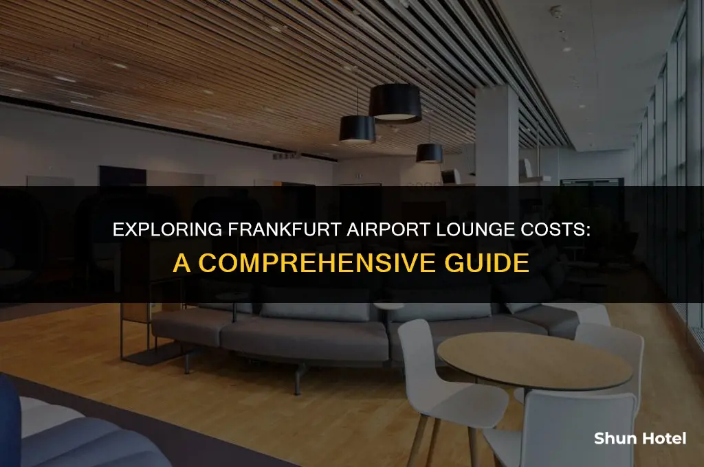 how much does the airport lounge in frankfurt cost