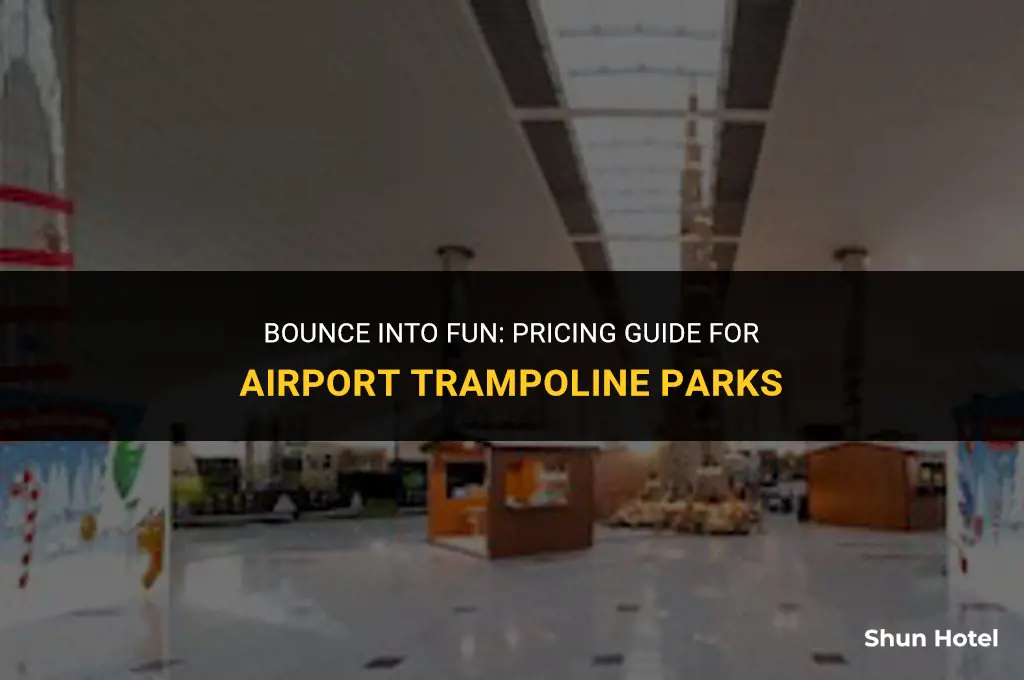 how much does the airport trampoline park cost