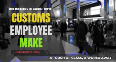 Unveiling the Salary Secrets of Airport Customs Employees
