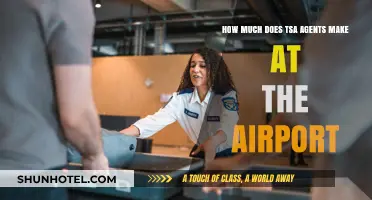 Unveiling TSA Agents' Salaries: What They Earn at Airports
