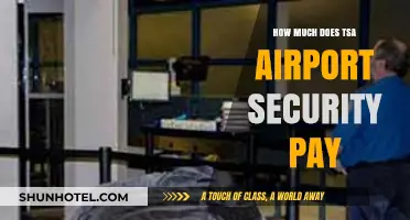 Unveiling TSA Airport Security Salaries: A Comprehensive Guide