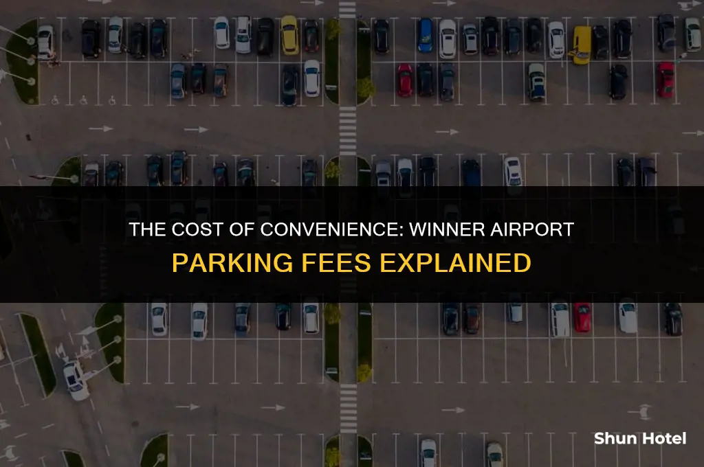 how much does winner airport parking