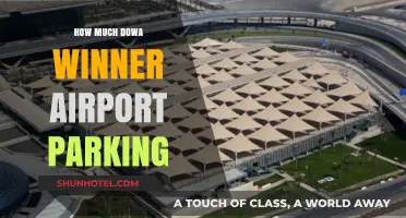 Exploring the Cost of Parking at Doha's Winner Airport