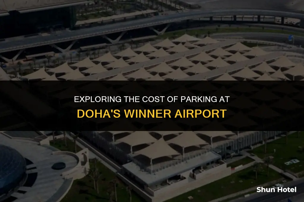 how much dowa winner airport parking