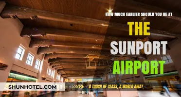 Beat the Rush: Optimal Arrival Times at Sunport Airport