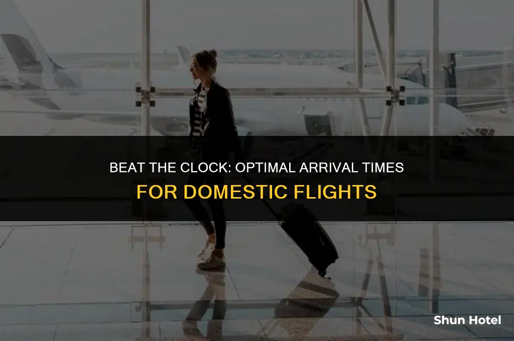 how much earlier to arive at airport for domestic flight