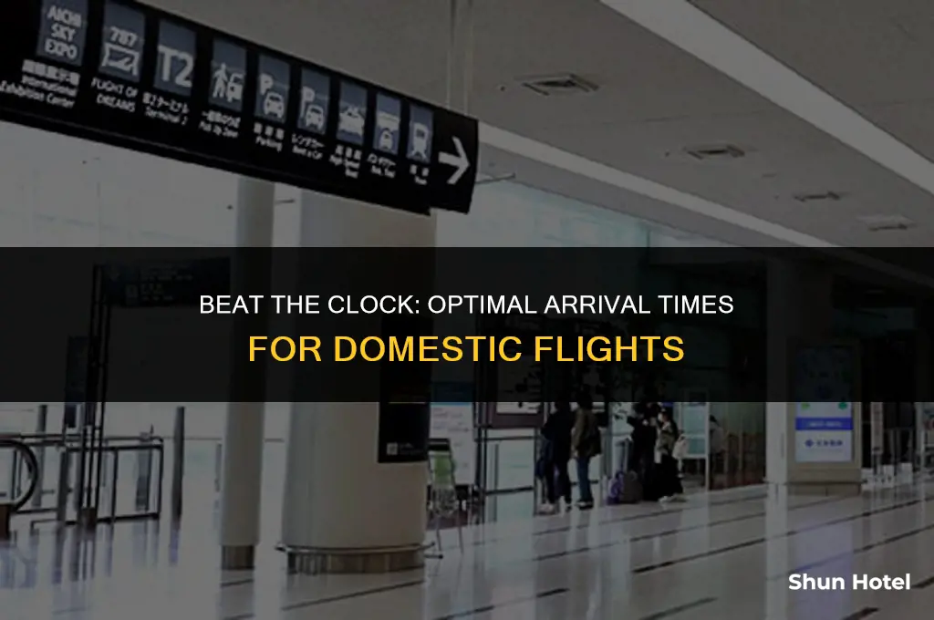 how much earlier to arrive airport domestic