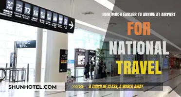 Beat the Clock: Optimal Arrival Times for Domestic Flights