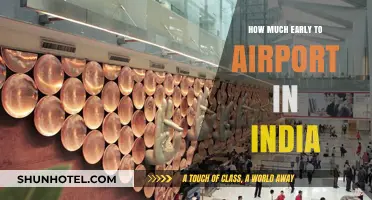 Arriving Early at Indian Airports: A Traveler's Guide