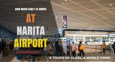 Optimal Arrival Time at Narita Airport: A Comprehensive Guide