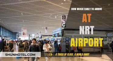 Optimal Arrival Time at Narita Airport: A Comprehensive Guide