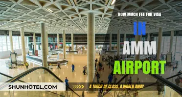 Navigating Visa Fees at AMM Airport: A Comprehensive Guide