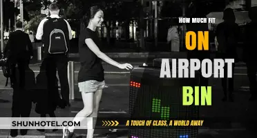 Maximizing Space: The Art of Fitting Luggage into Airport Bins