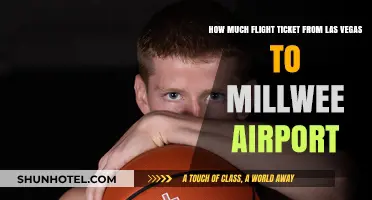 Exploring Flight Options: Las Vegas to Millwee Airport