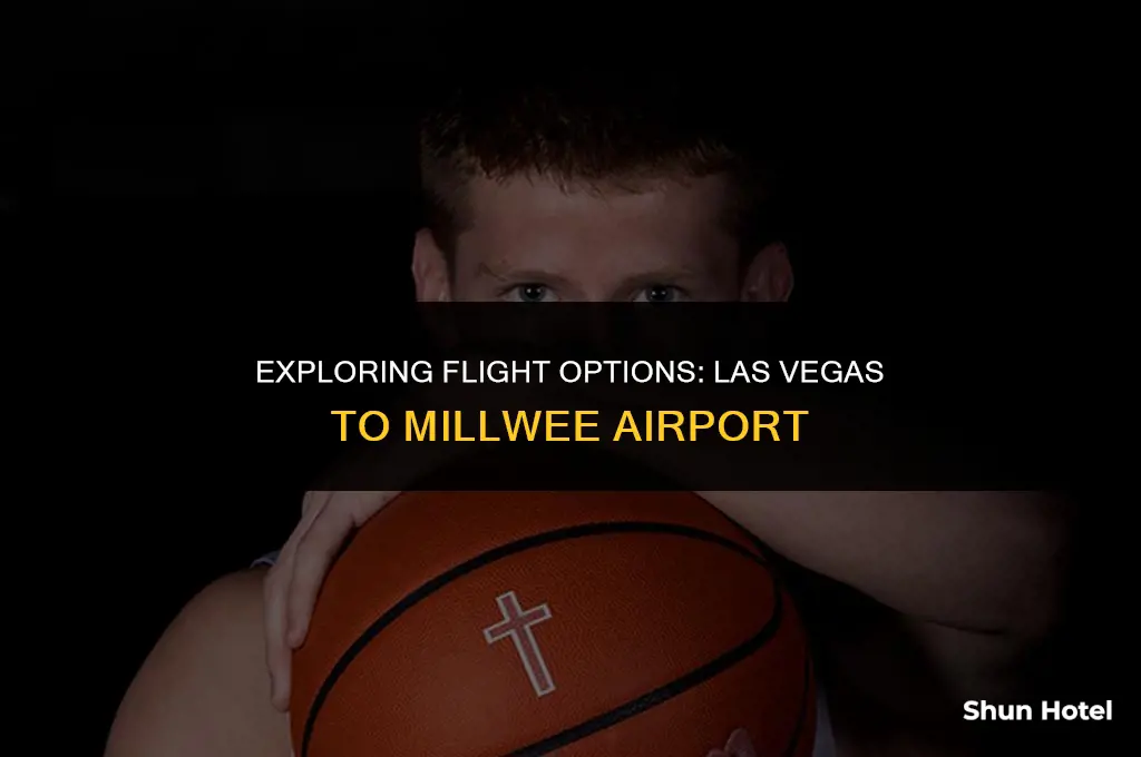 how much flight ticket from las vegas to millwee airport