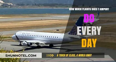 Daily Flight Operations: Unveiling the Bustle of a Single Airport