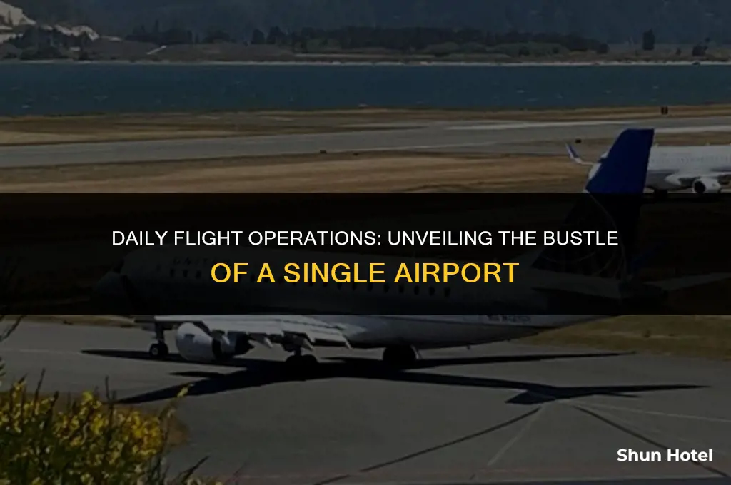 how much flights does 1 airport do every day