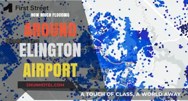 Assessing Flood Risks Around Ellington Airport: A Comprehensive Guide