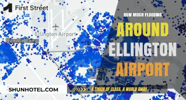 Assessing Flood Risks Around Ellington Airport: A Comprehensive Guide