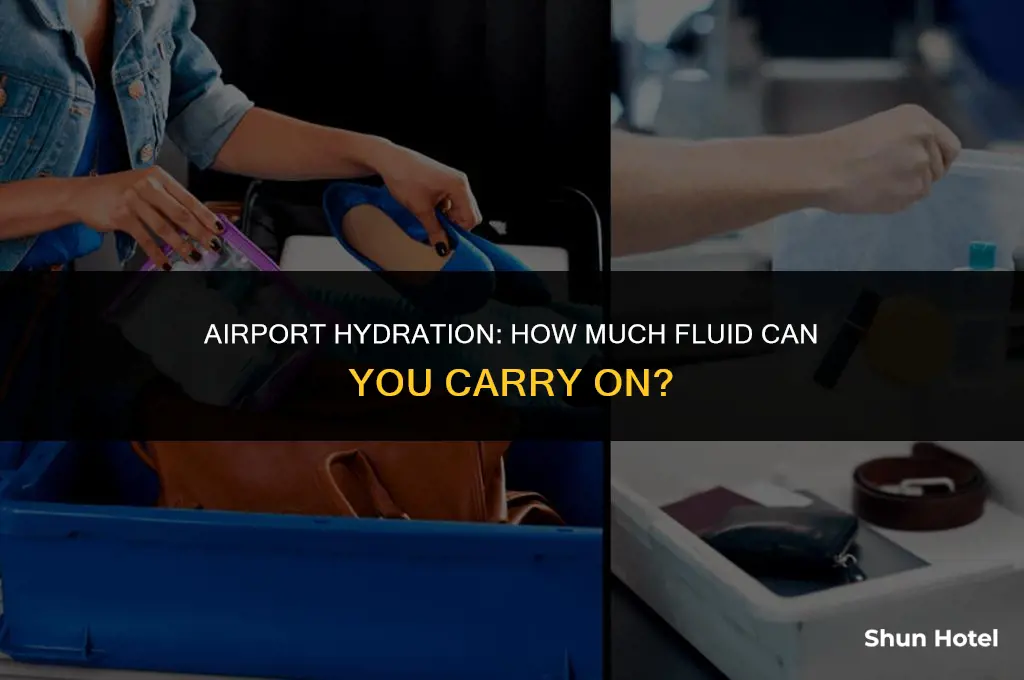 how much fluid at airport