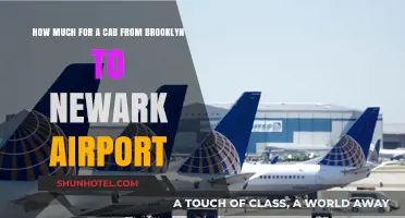 Cab Fare Guide: Brooklyn to Newark Airport Transportation Costs