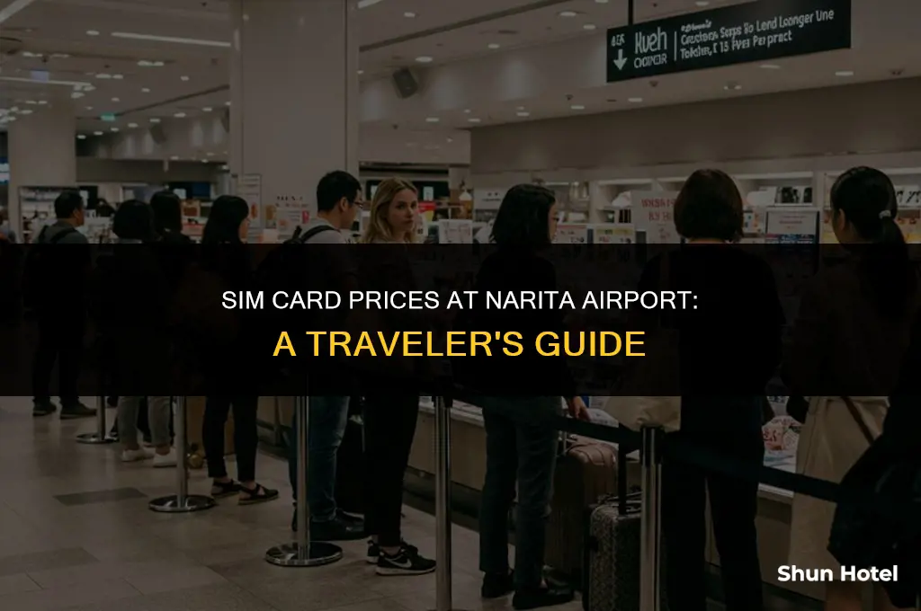 how much for a sim card in at narita airport