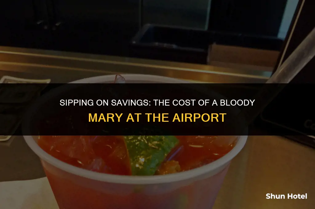 how much for bloody mary at airport