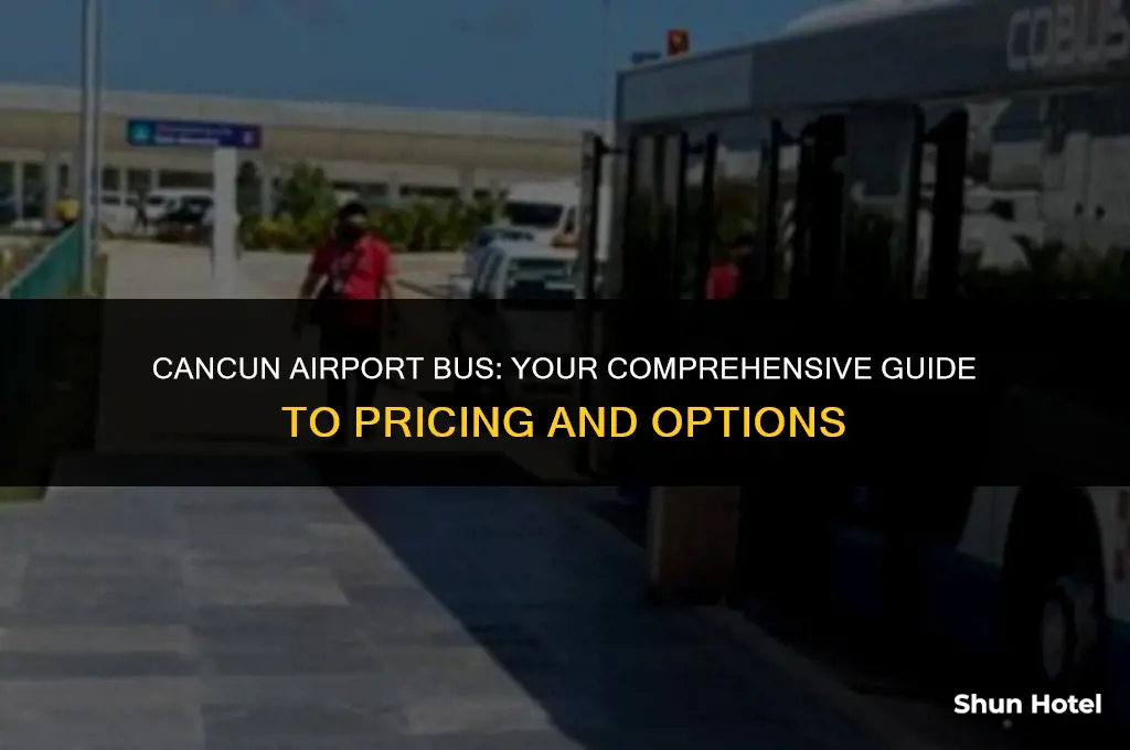 how much for bus from cancun airport