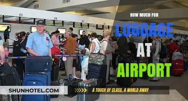 Airport Luggage Fees: A Comprehensive Guide to Costs and Policies