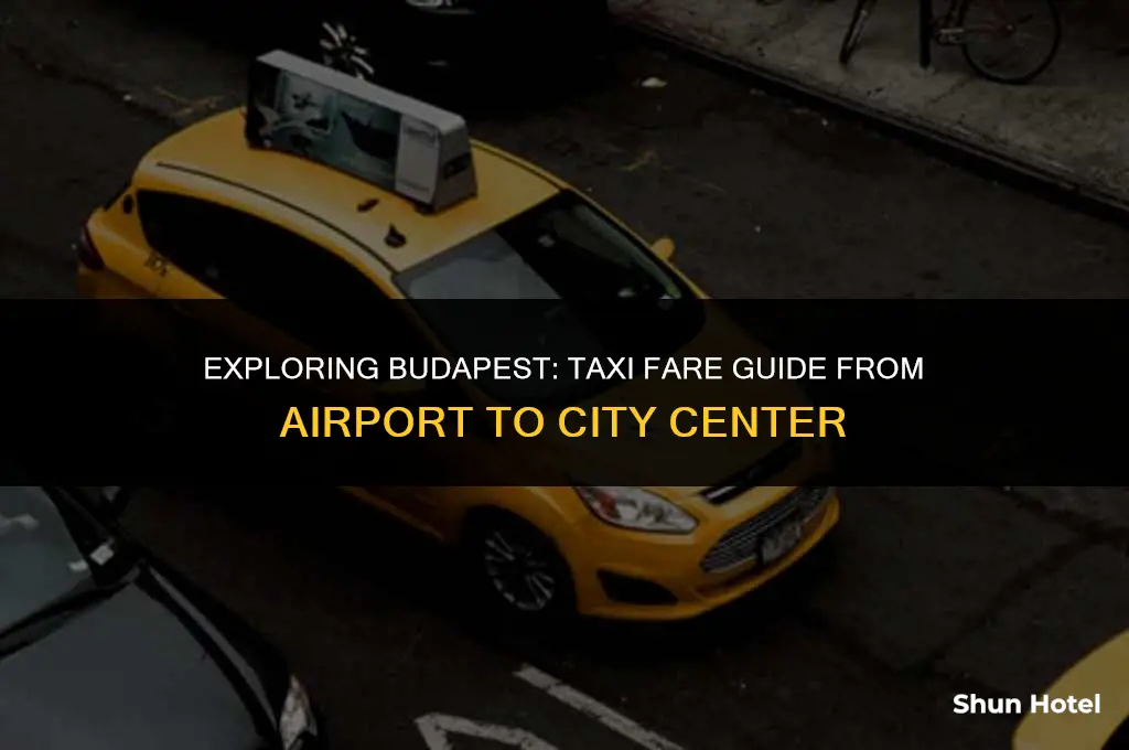 how much for taxi from budapest airport to city