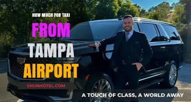 Tampa Airport Taxi Fares: Your Complete Guide to Costs and Options