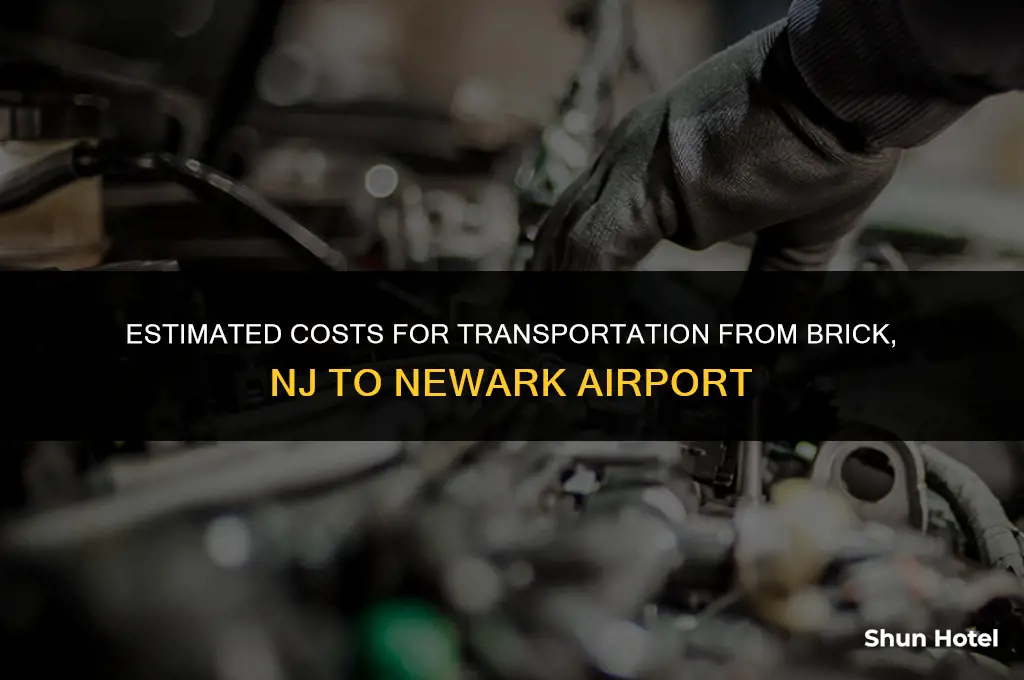 how much for trans from brick nj to newark airport