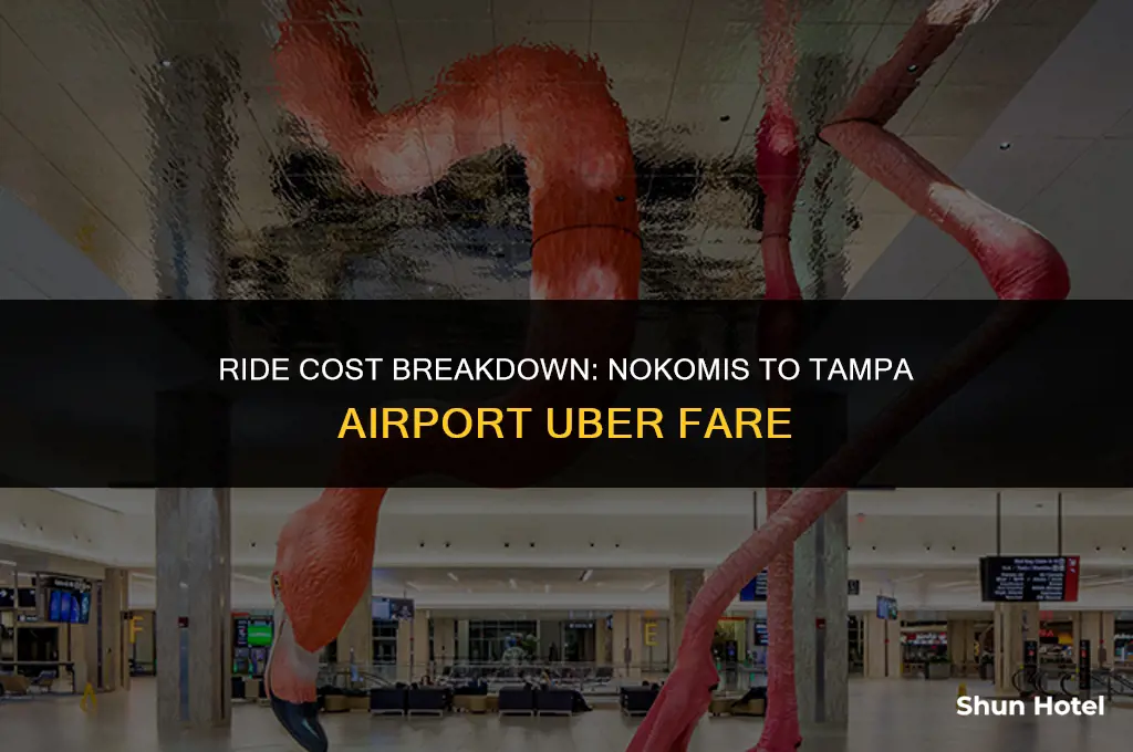 how much for uber from nokomis to tampa airport