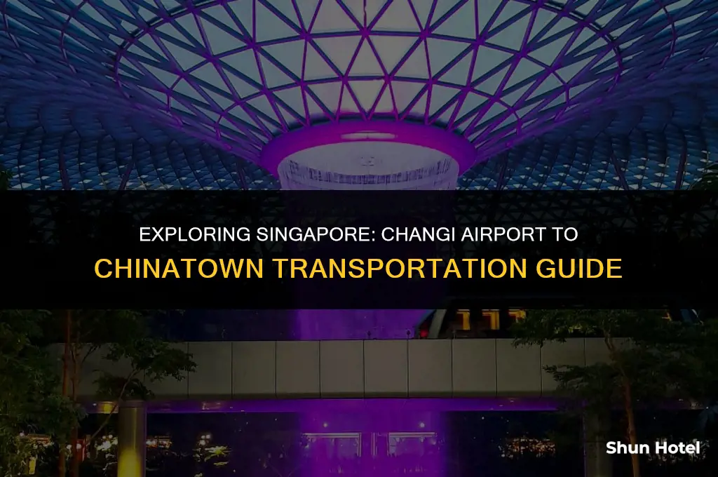 how much from changi airport to chinatown