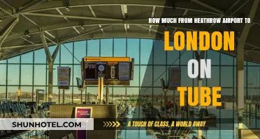 Traveling from Heathrow to London: A Tube Journey Guide