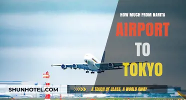 Traveling from Narita Airport to Tokyo: A Comprehensive Guide