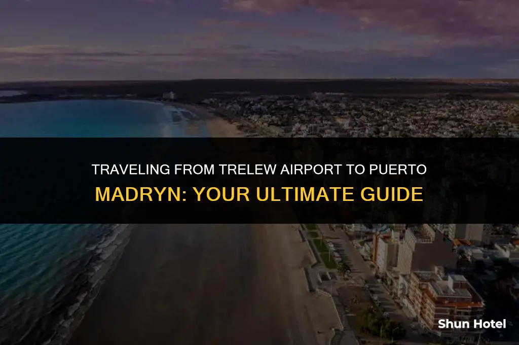 how much from trelew airport to puerto madryn