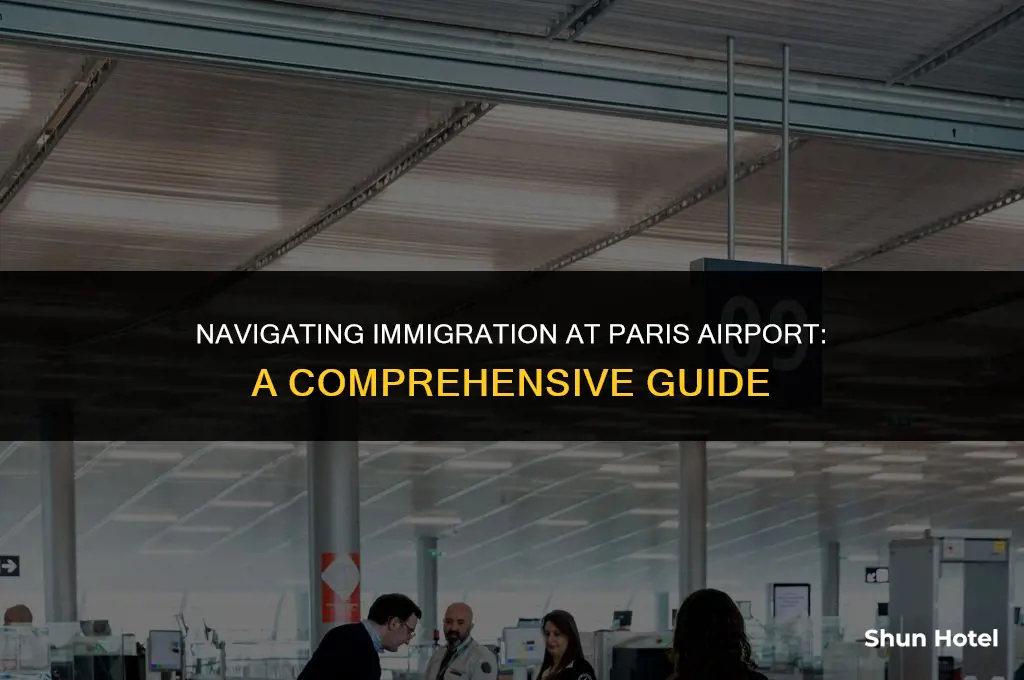 how much immigration takes at paris airport