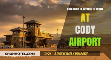 Cody Airport Arrival Guide: Timing Your Visit for a Smooth Experience