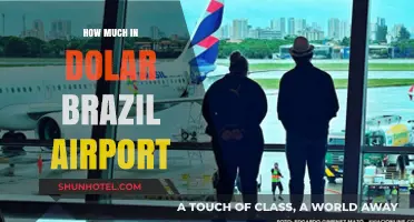 Exploring the Cost of Brazil's Airports: A Dollar Breakdown