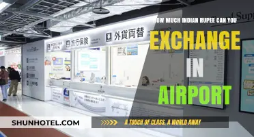 Airport Foreign Exchange: Indian Rupee Limits
