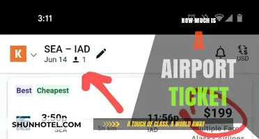 Sky-High Savings: Unraveling the Cost of Airport Tickets