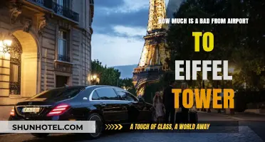 Navigating Paris: Airport to Eiffel Tower Transportation Costs