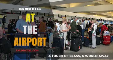 Airport Baggage Fees: What to Expect When You Fly