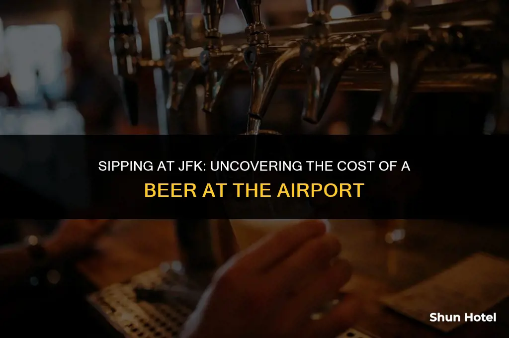 how much is a beer at jfk airport