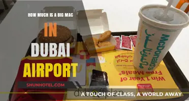 The Cost of a Big Mac at Dubai Airport: A Traveler's Guide