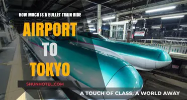 Speeding into Tokyo: Bullet Train Airport Transfers Unveiled