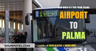 Palma Airport to City Center: Bus Fare Breakdown